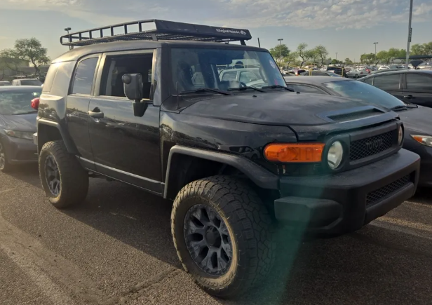 2010 Toyota FJ Cruiser 
