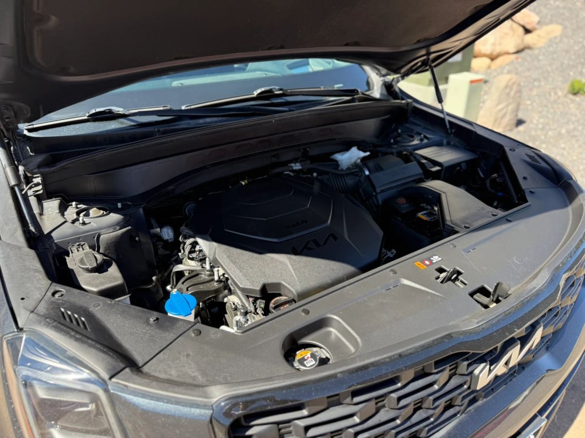 Photo 89 of this Kia Telluride