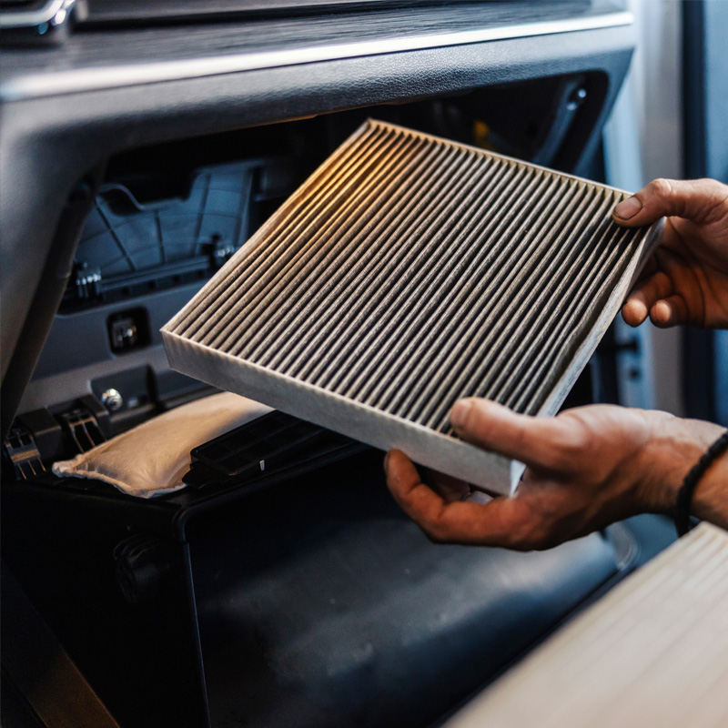 Cabin Air Filter Replacement: Starting from $29.95