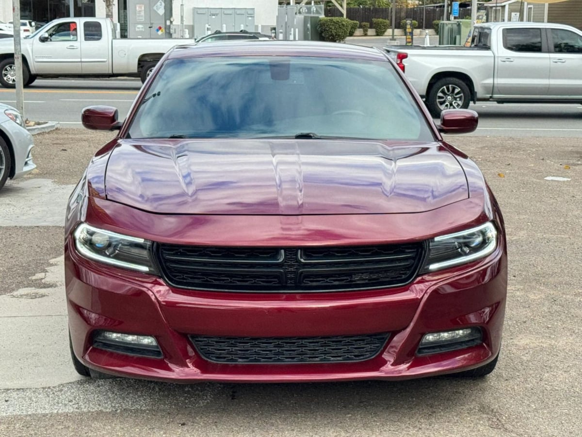 Image #4