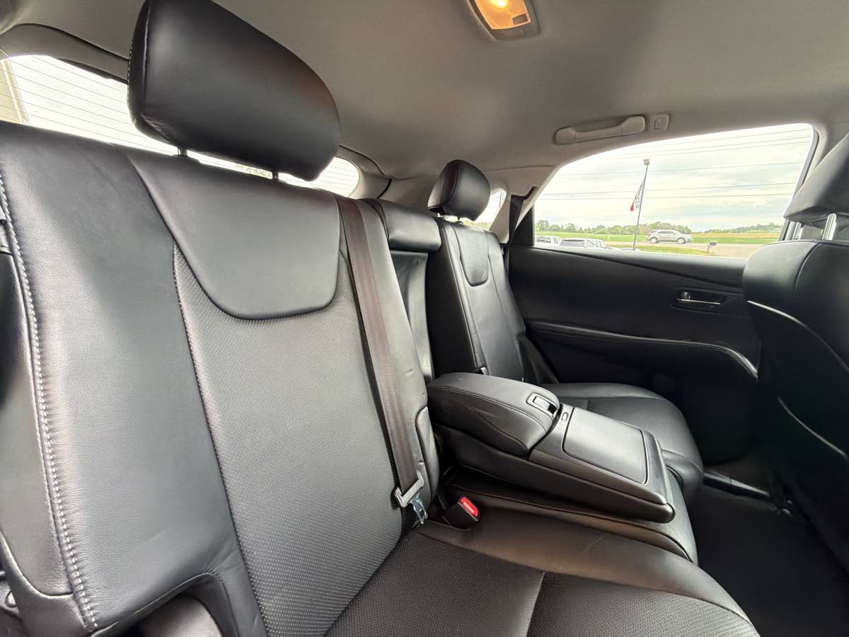 Image #15