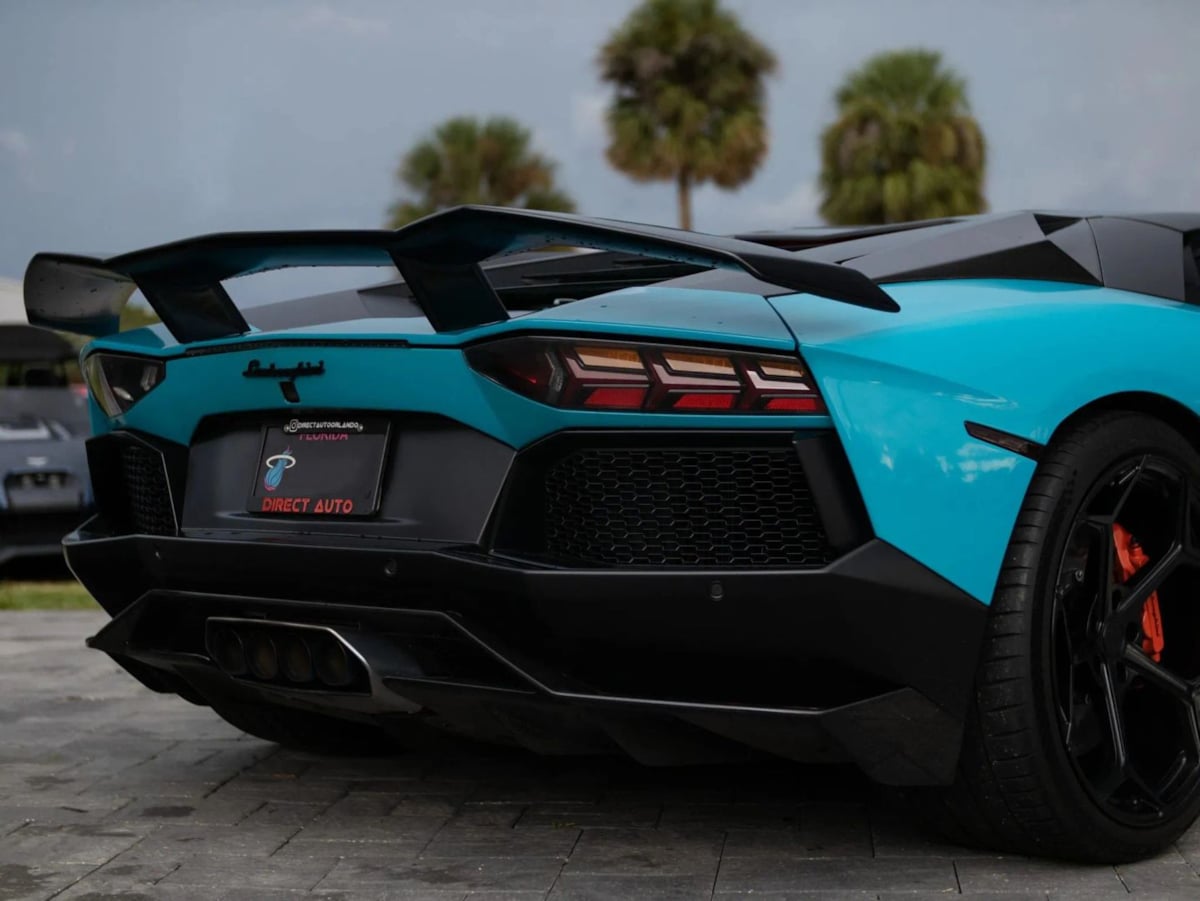 Image #24