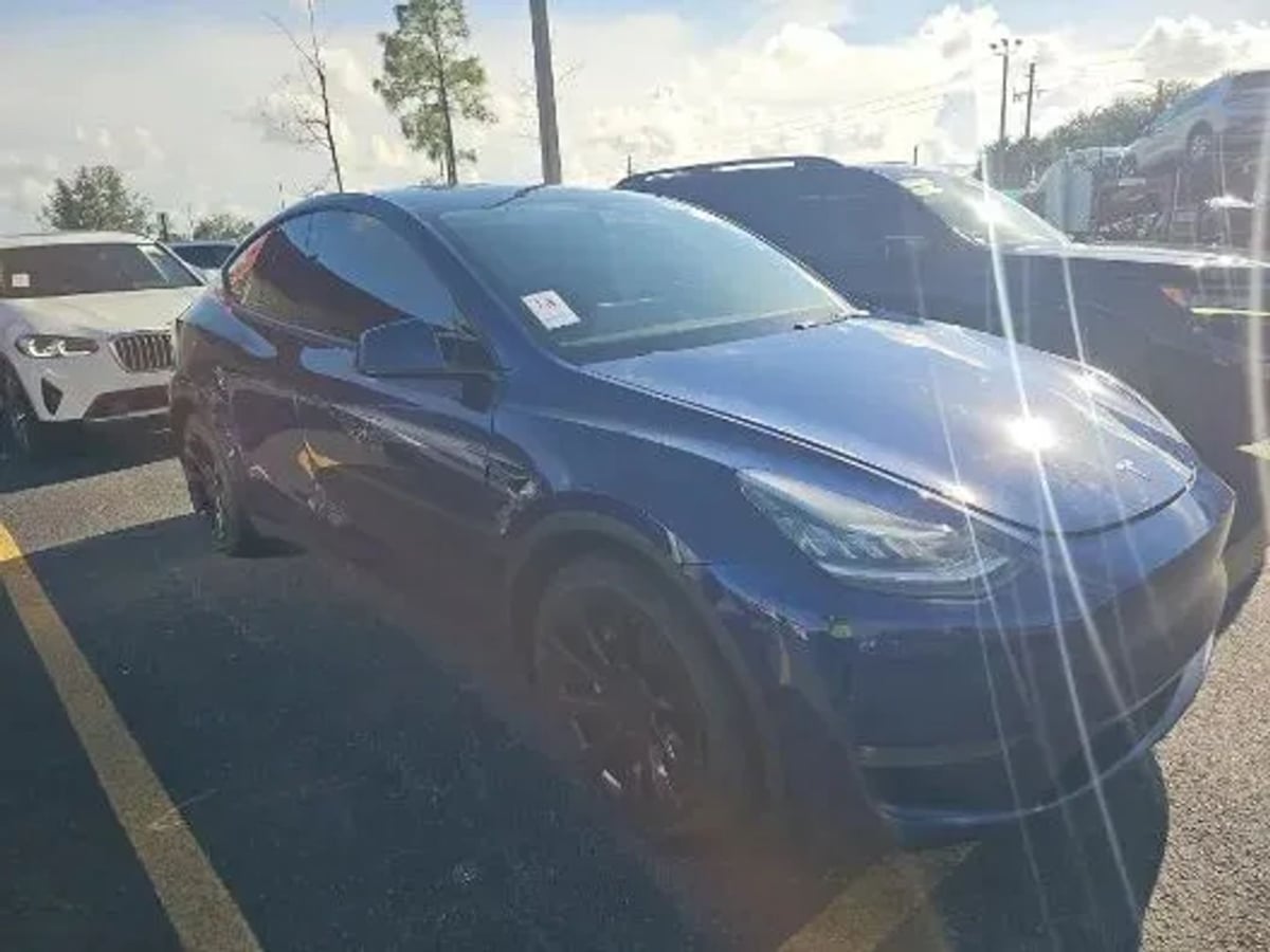 Tesla Model Y photo 2