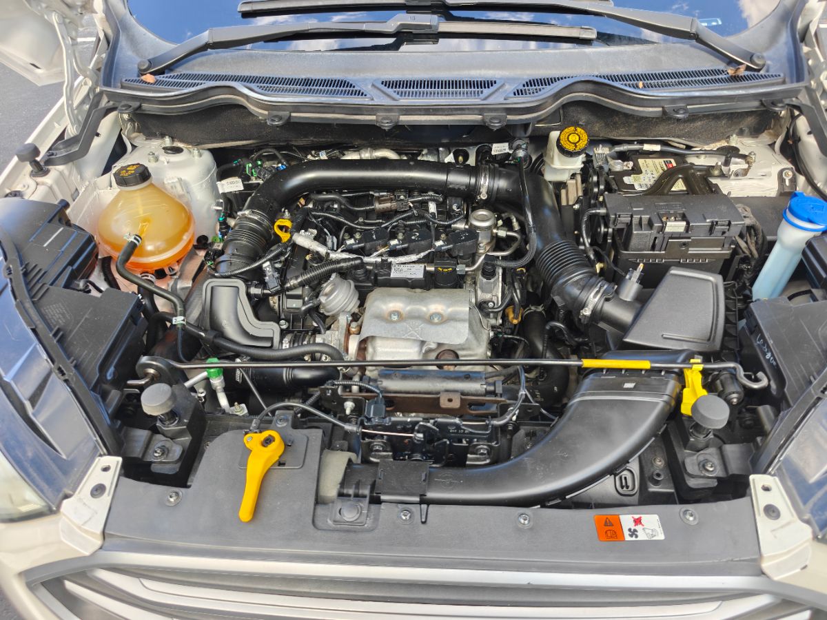 Photo 40 of this Ford EcoSport
