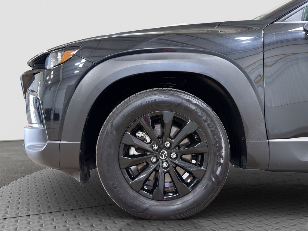 Image #19