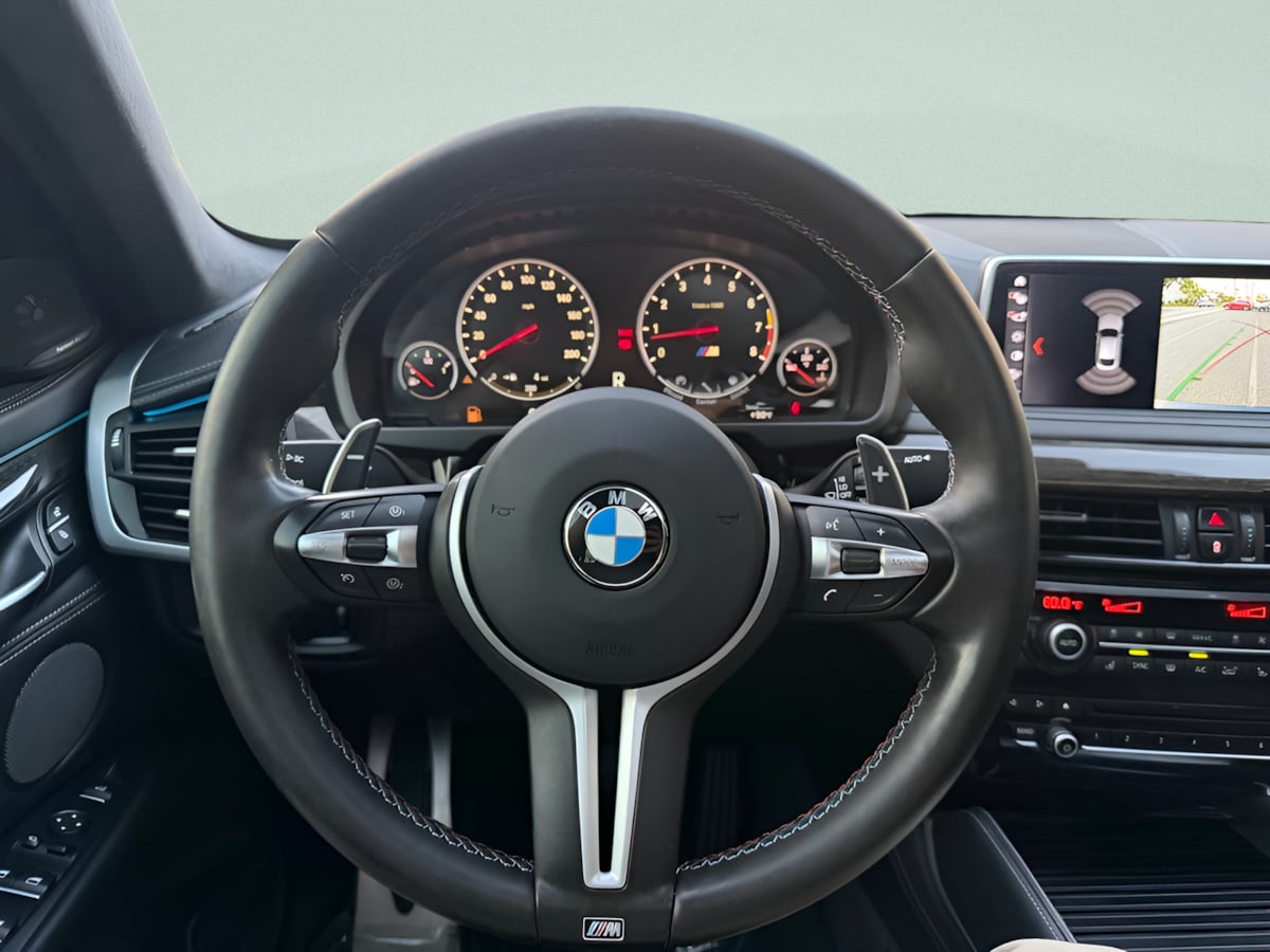 Photo 21 of this BMW X6 M