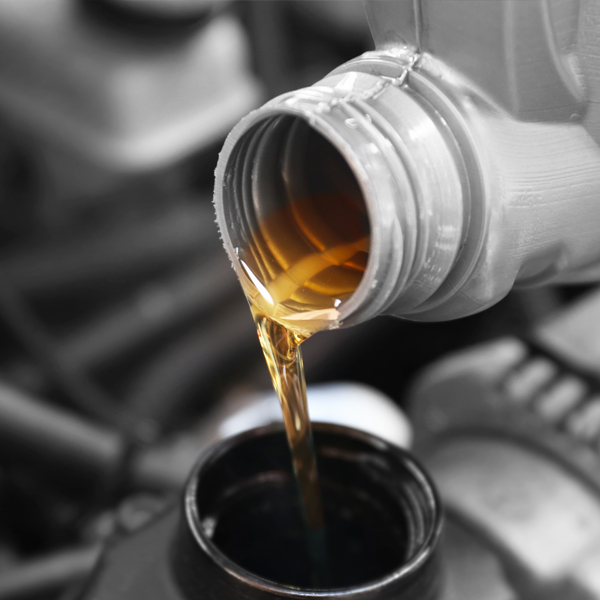 30 % Off Oil changes