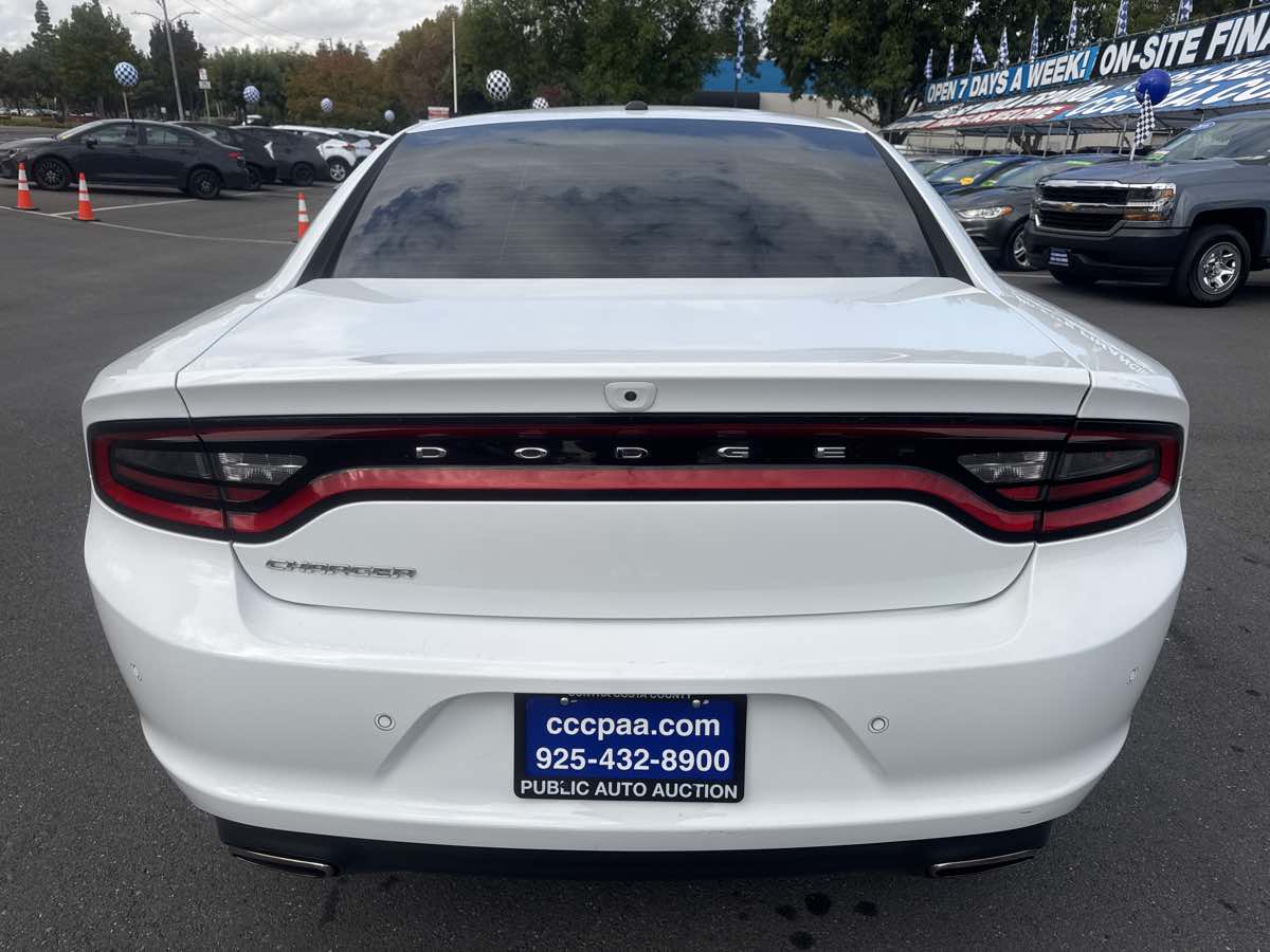 Image #17