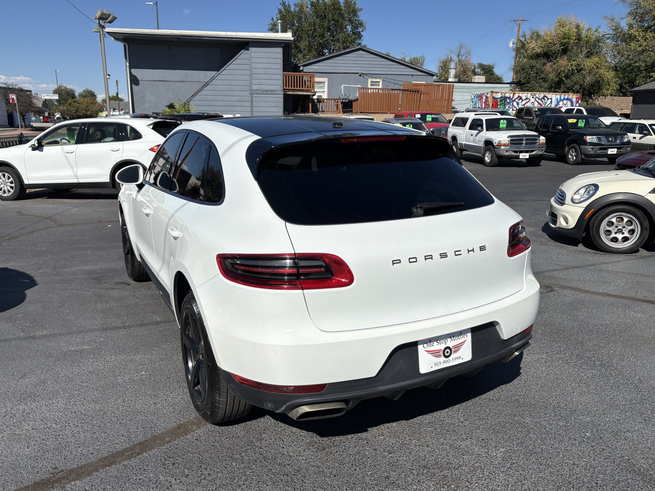 Image #13
