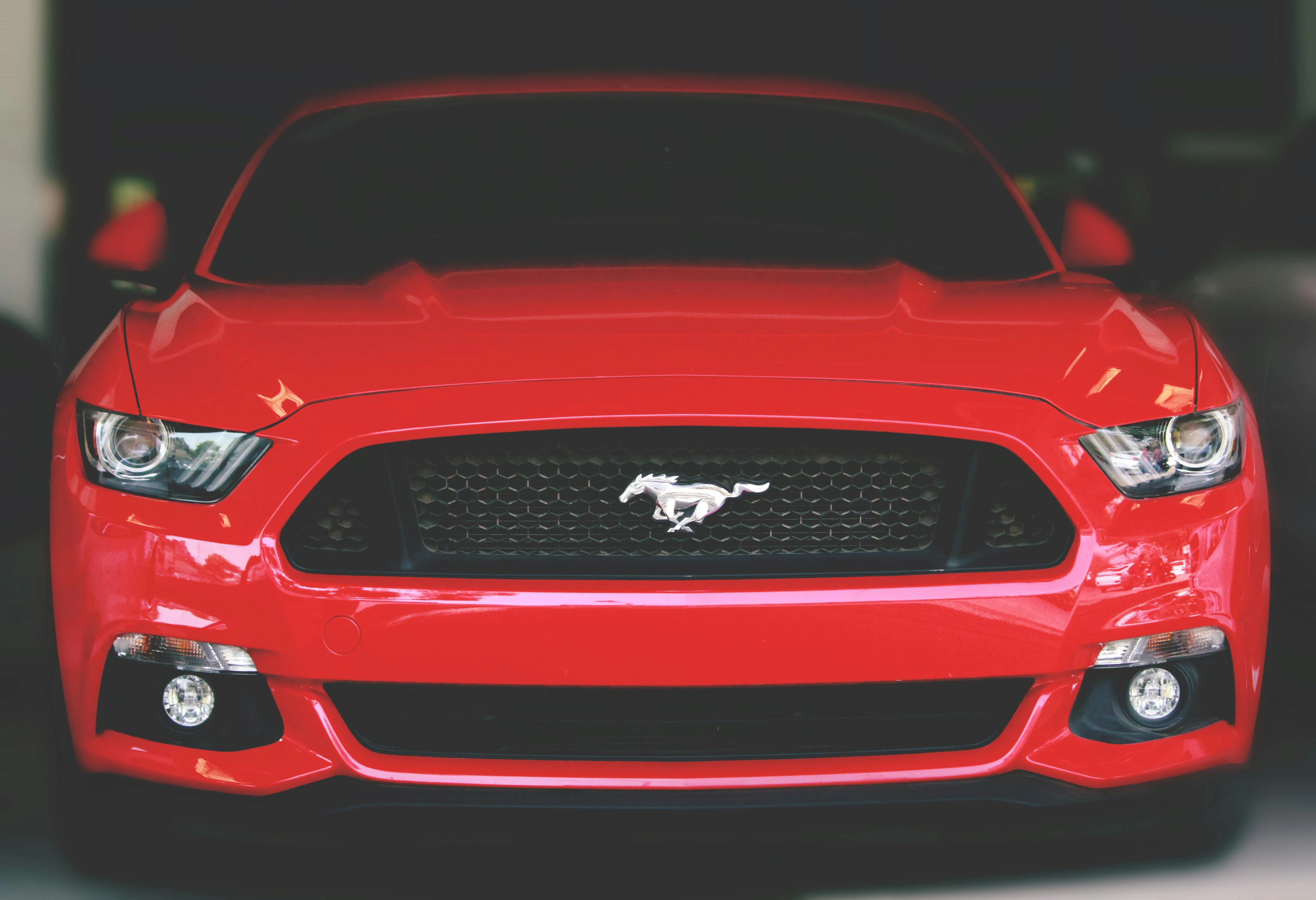 A beautiful red Mustang.