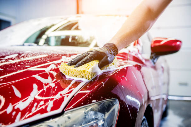 Sponge washing the hood of a luxury car from Green Automotive.