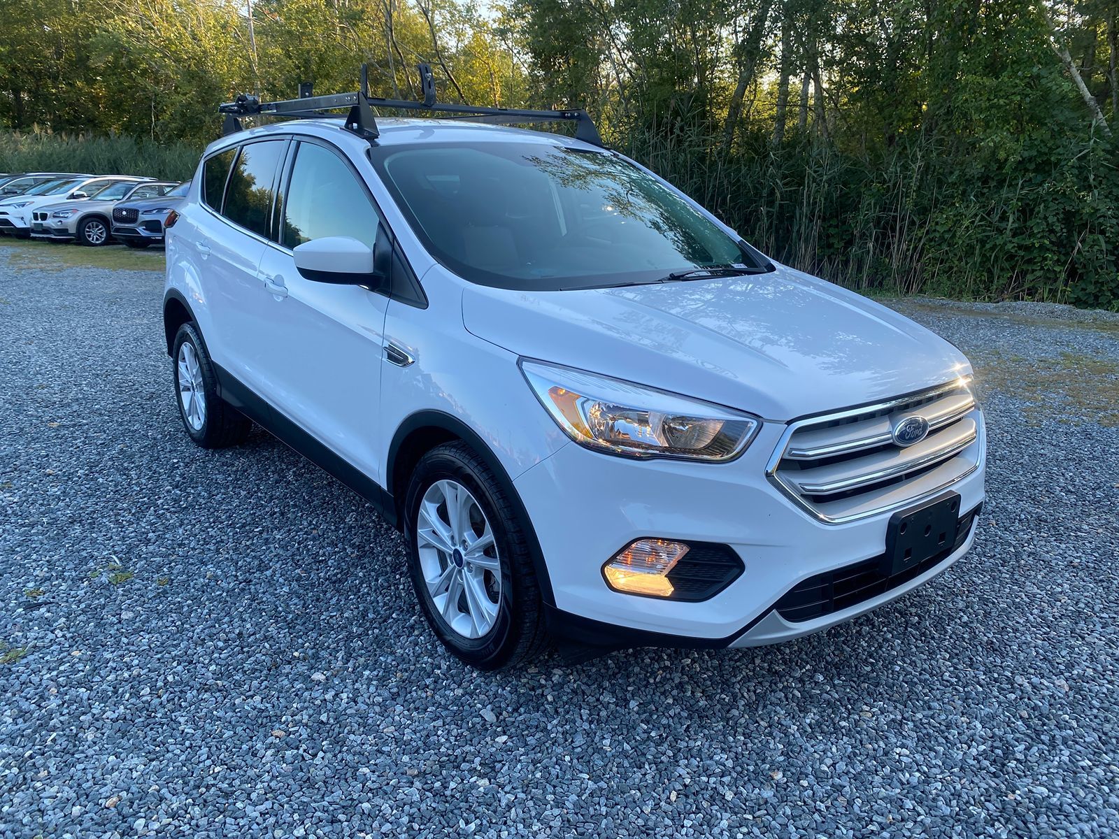 2019 Ford Escape SE 39