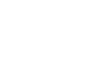 Wolfe Motors